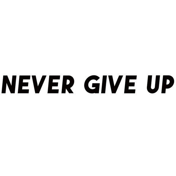 1sheet PVC Quotes Wall Sticker for Stairway Home Decoration Word NEVER GIVE UP Black 8x75cm