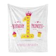 thumbnail image 1 of 1st Birthday Soft Flannel Fleece Throw Blanket, Words Design with Princess Girl Theme Party with Hearts Image, Cozy Plush for Indoor and Outdoor Use, 60" x 80", Yellow and Hot Pink, by Ambesonne, 1 of 5