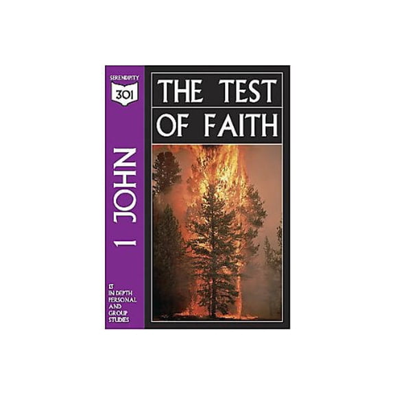 Pre-Owned 1st John: The Test of Faith (301 Depth Bible Study) (Paperback) 1574941038 9781574941036