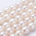 thumbnail image 1 of 1strand Natural Cultured Freshwater Pearl Beads Strands Oval Seashell color 10~11x9~10mm Hole: 0.5mm about 35~37pcs/strand 15.5 inch~15.7 inch, 1 of 3