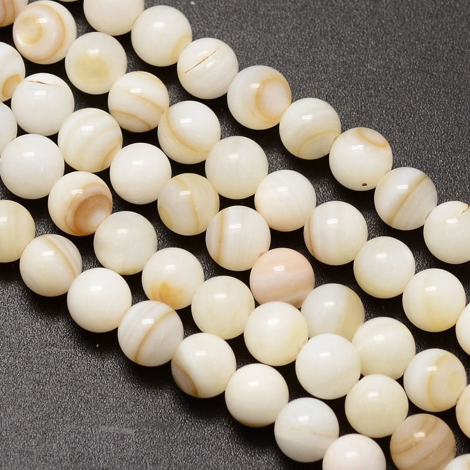 1strand Natural Freshwater Shell Round Bead Strands 6mm Hole: 1mm 62pcs ...