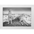 thumbnail image 1 of 1x 14x11 White Modern Wood Framed Museum Art Print Titled - Scheid - Two Cheetahs Watching Out, 1 of 4