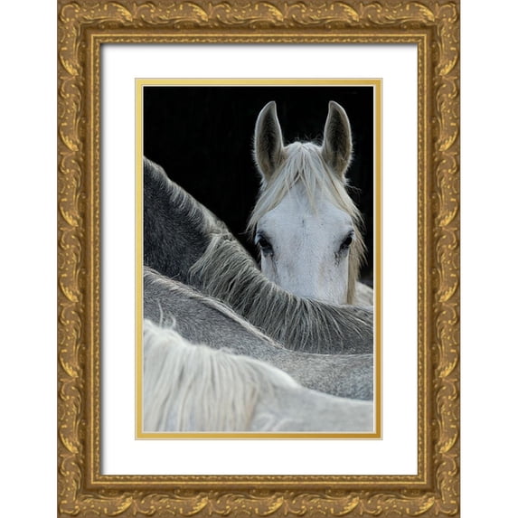 1x 17x24 Gold Ornate Wood Framed with Double Matting Museum Art Print Titled - Malovrh - Look