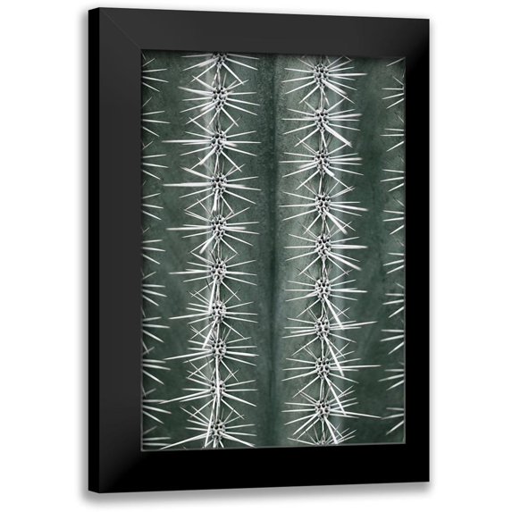 1x Studio III 11x14 Black Modern Framed Museum Art Print Titled - Cactus Green