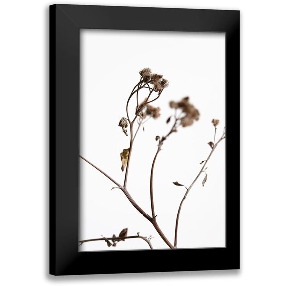 1x Studio III 11x14 Black Modern Framed Museum Art Print Titled - Dried Twig