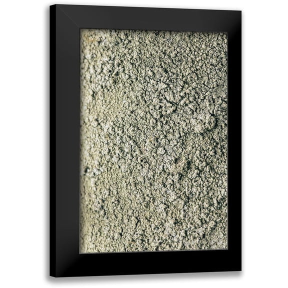 1x Studio III 11x14 Black Modern Framed Museum Art Print Titled - Moss