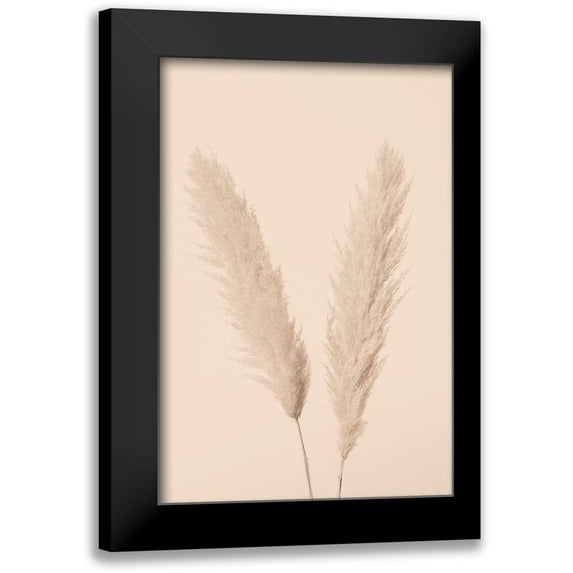 1x Studio III 11x14 Black Modern Framed Museum Art Print Titled - Pampas Grass Beige 01