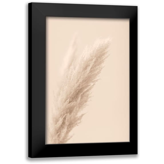 1x Studio III 11x14 Black Modern Framed Museum Art Print Titled - Pampas Grass Beige 07
