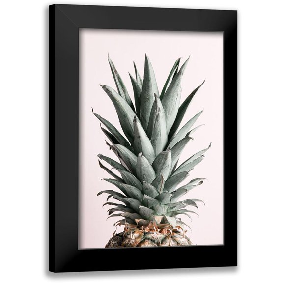 1x Studio III 11x14 Black Modern Framed Museum Art Print Titled - Pineapple Natural Tint