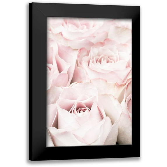 1x Studio III 11x14 Black Modern Framed Museum Art Print Titled - Pink Roses 05