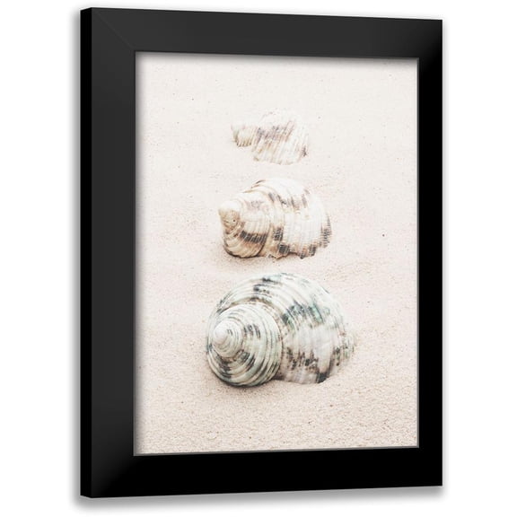 1x Studio III 11x14 Black Modern Framed Museum Art Print Titled - Shells