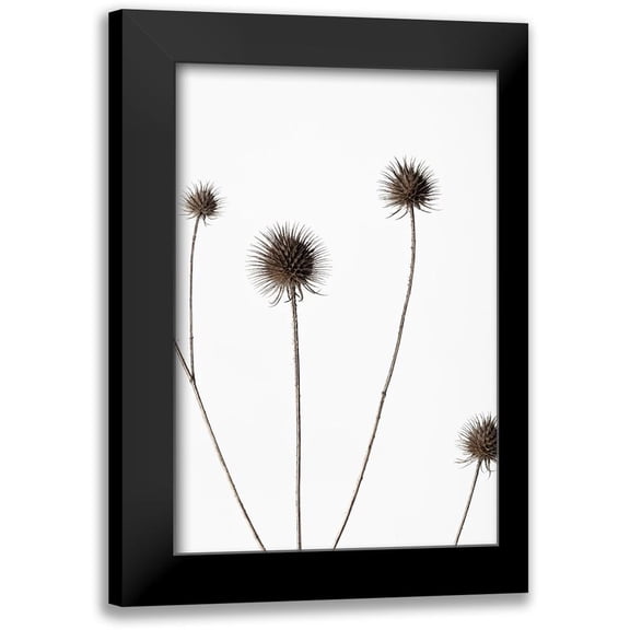 1x Studio III 11x14 Black Modern Framed Museum Art Print Titled - Thistle Grey 10