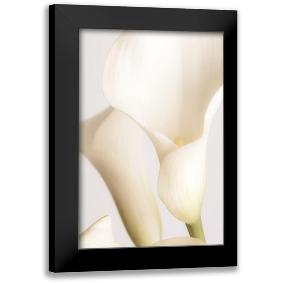 1x Studio III 11x14 Black Modern Framed Museum Art Print Titled - White Calla Lily No 2