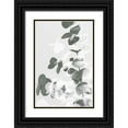 thumbnail image 1 of 1x Studio III 11x14 Black Ornate Wood Framed with Double Matting Museum Art Print Titled - Eucalyptus Creative 09, 1 of 4