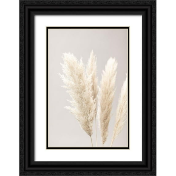 1x Studio III 11x14 Black Ornate Wood Framed with Double Matting Museum Art Print Titled - Pampas Grass Grey 02