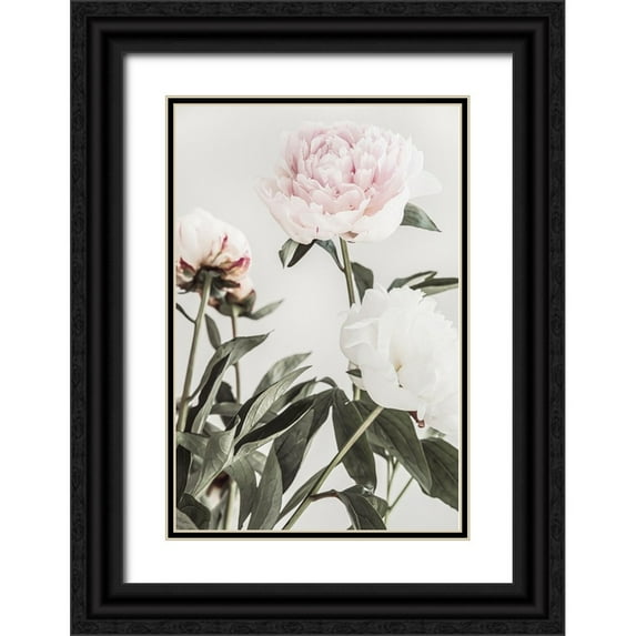 1x Studio III 11x14 Black Ornate Wood Framed with Double Matting Museum Art Print Titled - Peony 04