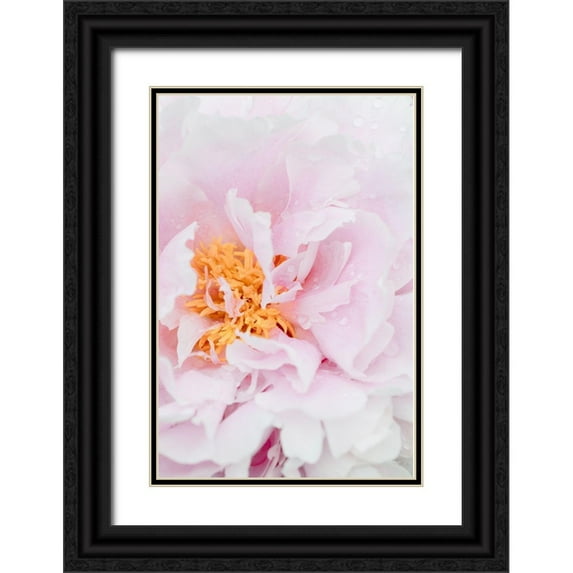 1x Studio III 11x14 Black Ornate Wood Framed with Double Matting Museum Art Print Titled - Peony_8