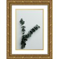 thumbnail image 1 of 1x Studio III 11x14 Gold Ornate Wood Framed with Double Matting Museum Art Print Titled - Eucalyptus Wall 02, 1 of 4