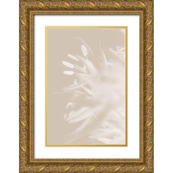 1x Studio III 11x14 Gold Ornate Wood Framed with Double Matting Museum Art Print Titled - Flower Beige_1