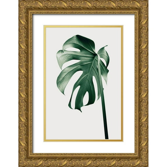 1x Studio III 11x14 Gold Ornate Wood Framed with Double Matting Museum Art Print Titled - Monstera Natural 44