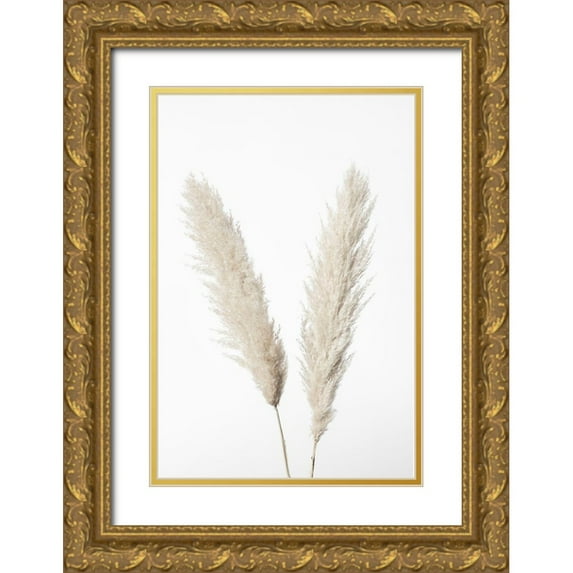 1x Studio III 11x14 Gold Ornate Wood Framed with Double Matting Museum Art Print Titled - Pampas White