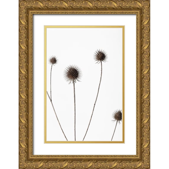1x Studio III 11x14 Gold Ornate Wood Framed with Double Matting Museum Art Print Titled - Thistle Grey 10