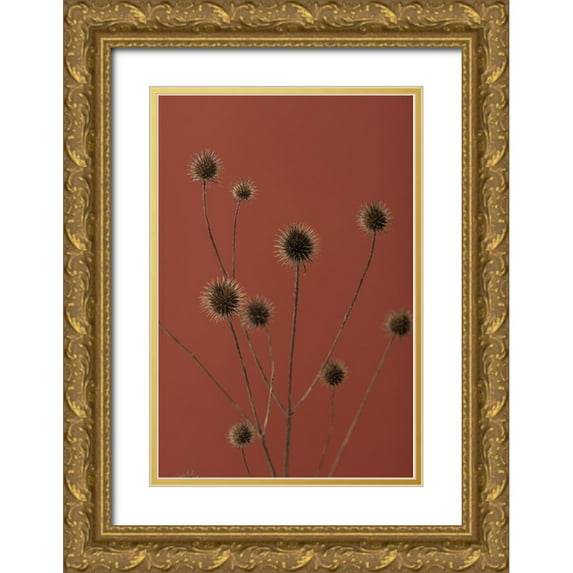 1x Studio III 11x14 Gold Ornate Wood Framed with Double Matting Museum Art Print Titled - Thistle Rust Red 01
