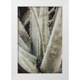 thumbnail image 1 of 1x Studio III 11x14 White Modern Wood Framed Museum Art Print Titled - Aloe_001, 1 of 4