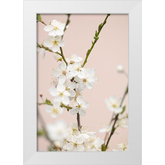 1x Studio III 11x14 White Modern Wood Framed Museum Art Print Titled - Cherry Tree Flowers