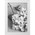 thumbnail image 1 of 1x Studio III 11x14 White Modern Wood Framed Museum Art Print Titled - Dried Flowe ron Plate_black a white, 1 of 4