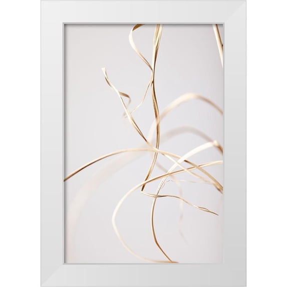 1x Studio III 11x14 White Modern Wood Framed Museum Art Print Titled - Dried Grass Grey 02