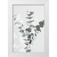 thumbnail image 1 of 1x Studio III 11x14 White Modern Wood Framed Museum Art Print Titled - Eucalyptus Creative 07, 1 of 4
