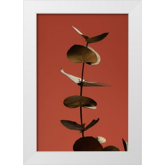 1x Studio III 11x14 White Modern Wood Framed Museum Art Print Titled - Eucalyptus Gold Rust 04