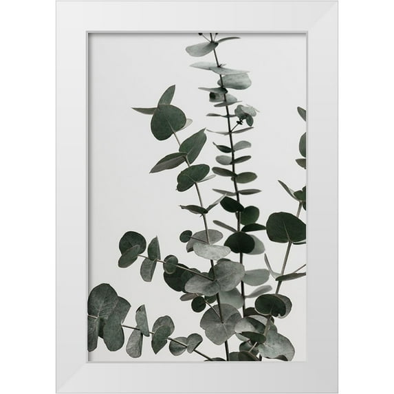 1x Studio III 11x14 White Modern Wood Framed Museum Art Print Titled - Eucalyptus Natural 07