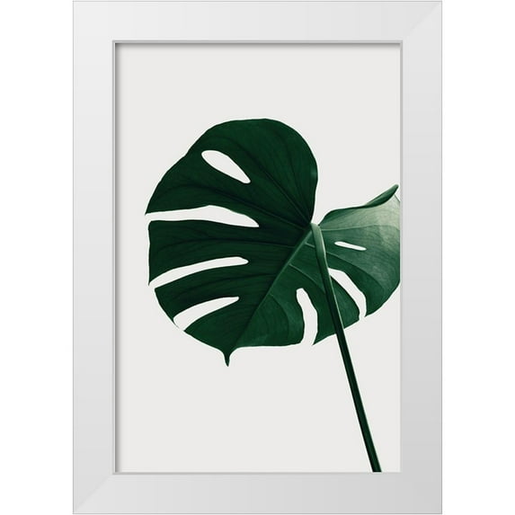 1x Studio III 11x14 White Modern Wood Framed Museum Art Print Titled - Monstera Natural 33