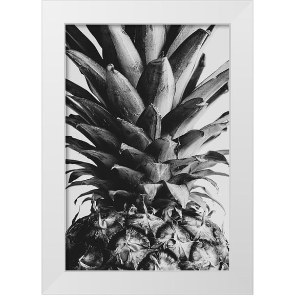 1x Studio III 11x14 White Modern Wood Framed Museum Art Print Titled - Pineapple Close Up 02