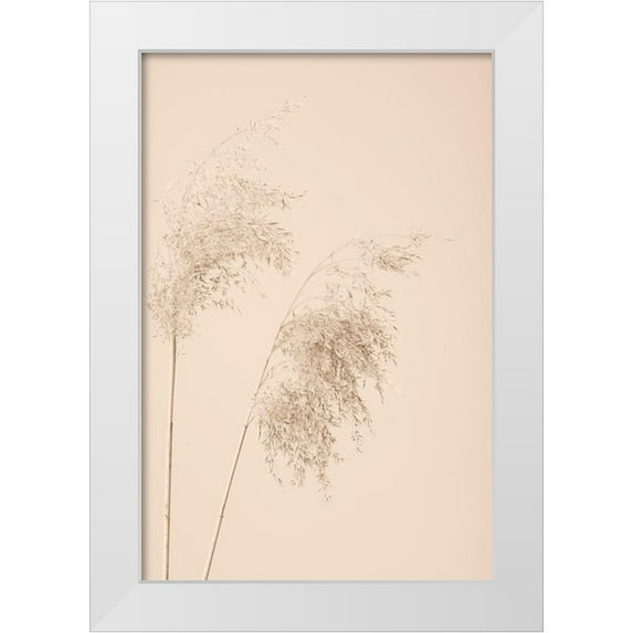 1x Studio III 11x14 White Modern Wood Framed Museum Art Print Titled - Reed Grass Beige 08