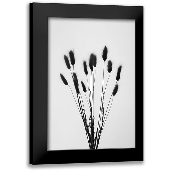 1x Studio III 13x18 Black Modern Framed Museum Art Print Titled - Bunny Grass No 2