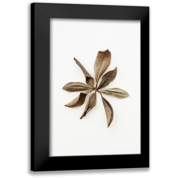 1x Studio III 13x18 Black Modern Framed Museum Art Print Titled - Dried Leaves_3