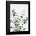 thumbnail image 1 of 1x Studio III 13x18 Black Modern Framed Museum Art Print Titled - Eucalyptus Creative 16, 1 of 5