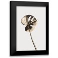 thumbnail image 1 of 1x Studio III 13x18 Black Modern Framed Museum Art Print Titled - Monstera Gold 06, 1 of 5