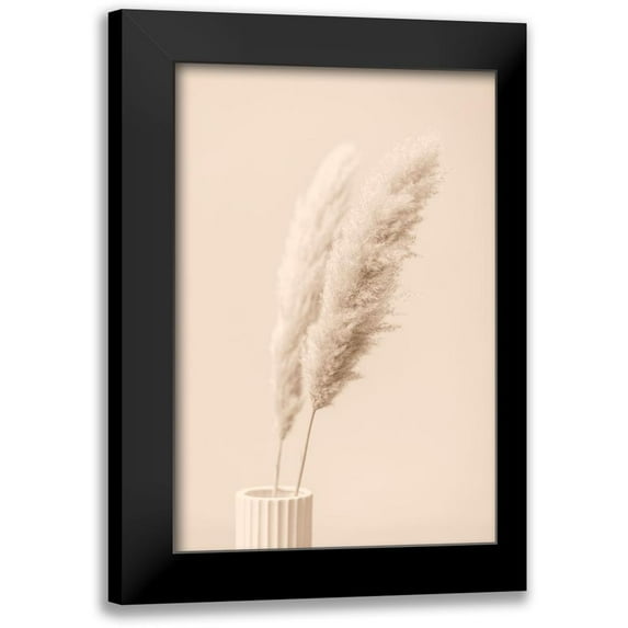 1x Studio III 13x18 Black Modern Framed Museum Art Print Titled - Pampas Grass Begie 13