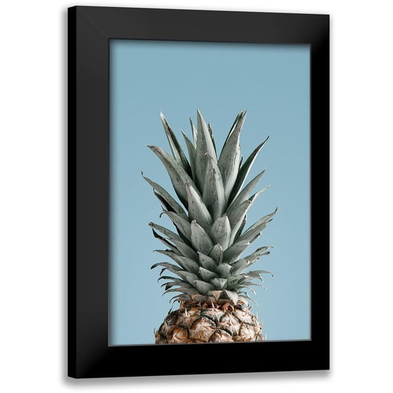 1x Studio III 13x18 Black Modern Framed Museum Art Print Titled - Pineapple Blue 04