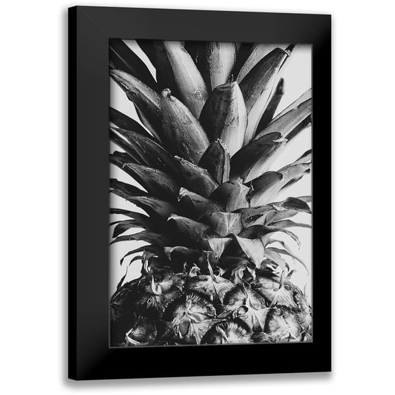 1x Studio III 13x18 Black Modern Framed Museum Art Print Titled - Pineapple Close Up 02