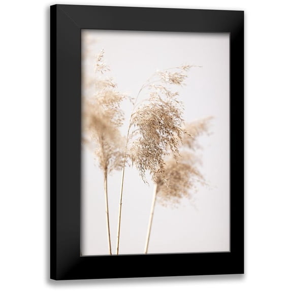 1x Studio III 13x18 Black Modern Framed Museum Art Print Titled - Reed Grass Grey 09