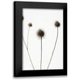 thumbnail image 1 of 1x Studio III 13x18 Black Modern Framed Museum Art Print Titled - Thistle Grey 07, 1 of 5