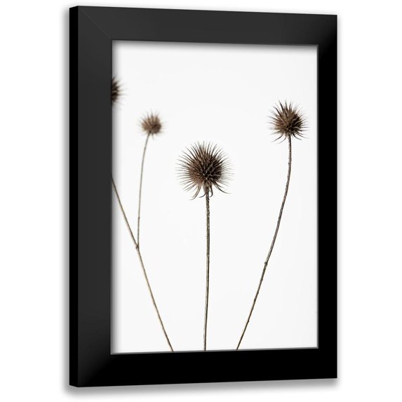 1x Studio III 13x18 Black Modern Framed Museum Art Print Titled - Thistle Grey 07