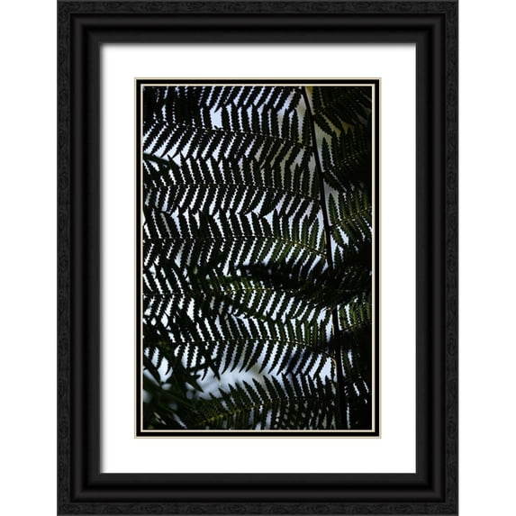 1x Studio III 13x18 Black Ornate Wood Framed with Double Matting Museum Art Print Titled - Fern Leaves_1