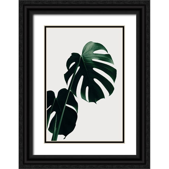 1x Studio III 13x18 Black Ornate Wood Framed with Double Matting Museum Art Print Titled - Monstera Natural 03