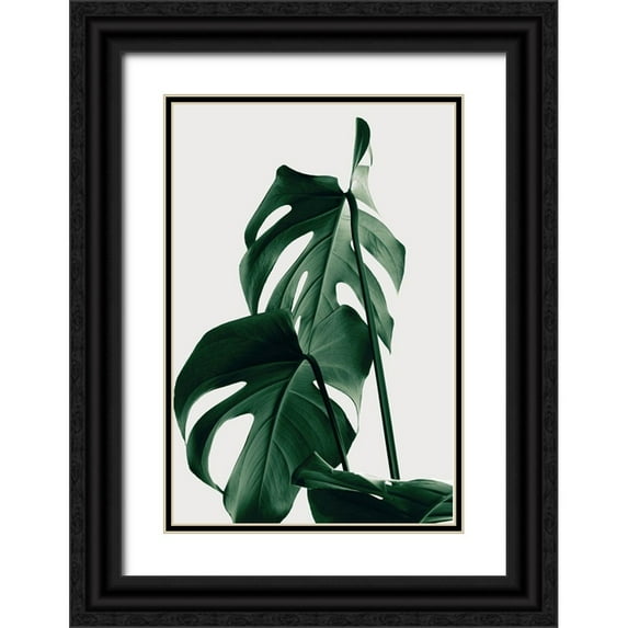 1x Studio III 13x18 Black Ornate Wood Framed with Double Matting Museum Art Print Titled - Monstera Natural 26